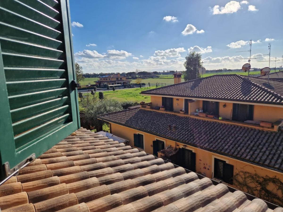 Appartamento Casa Elsa Palidoro Esterno foto